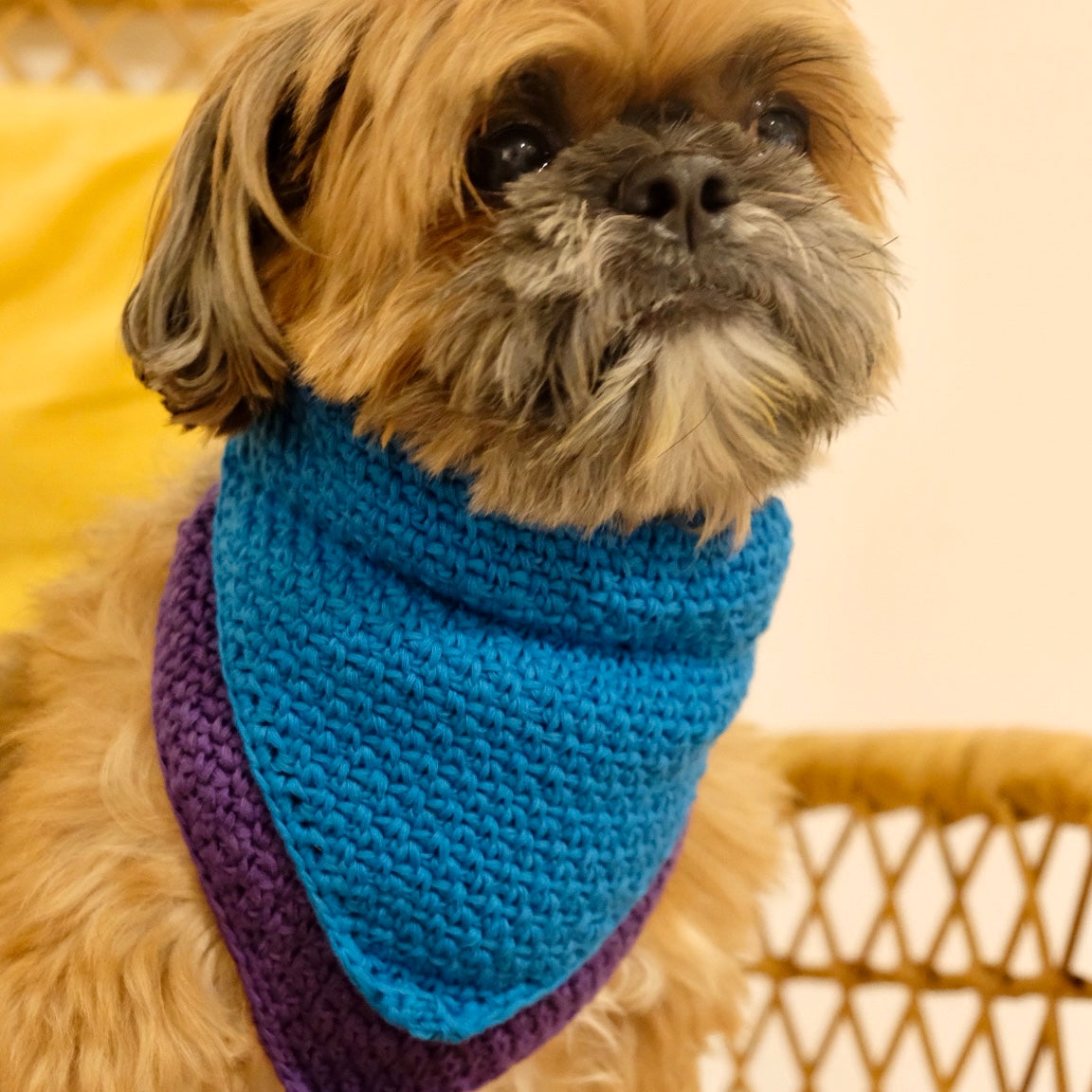 CROCHET DOGGIE BANDANA