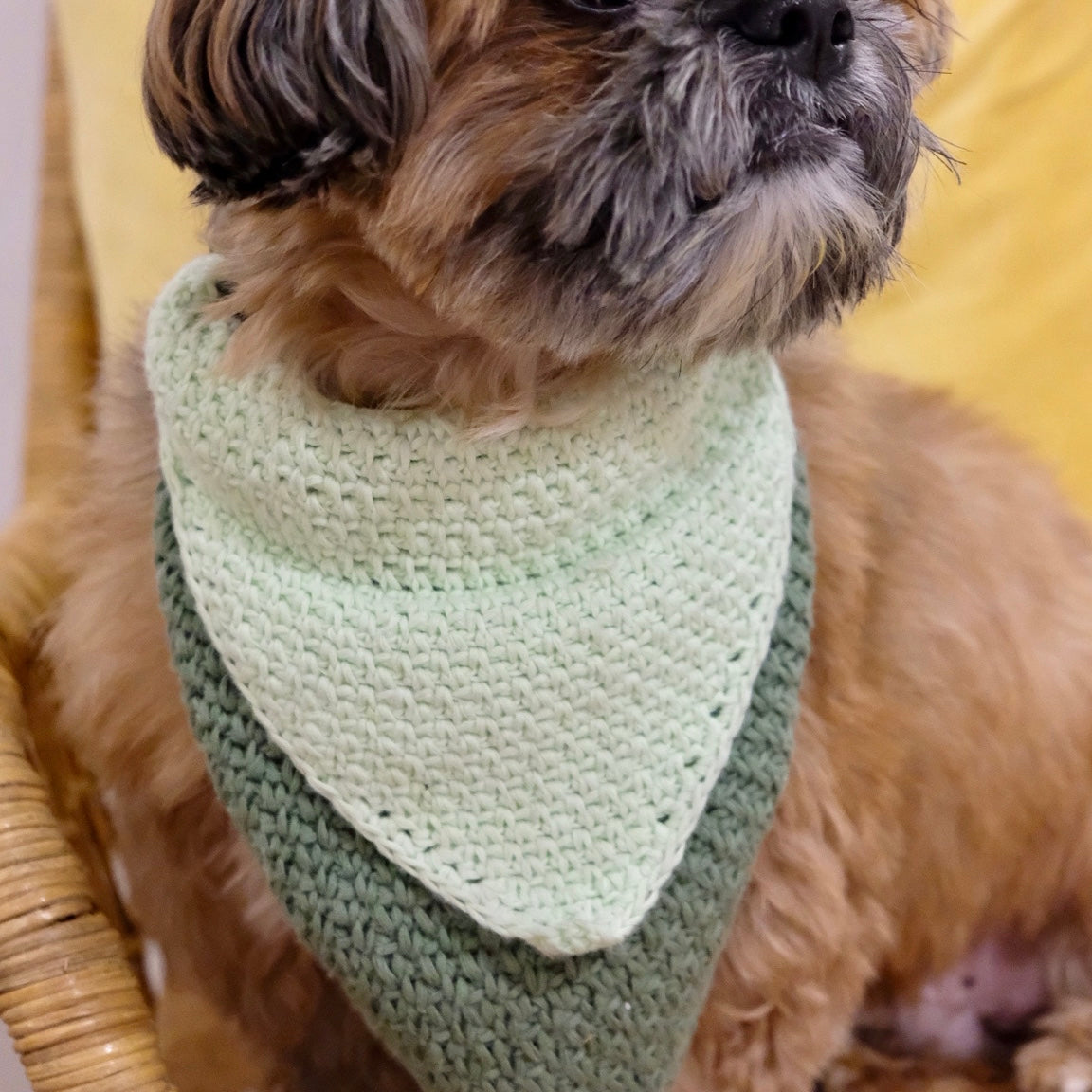CROCHET DOGGIE BANDANA