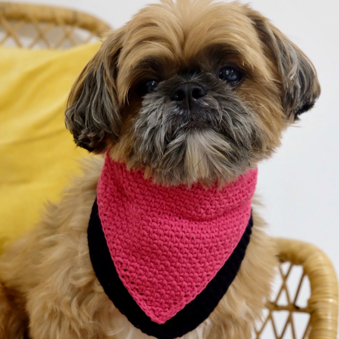 CROCHET DOGGIE BANDANA