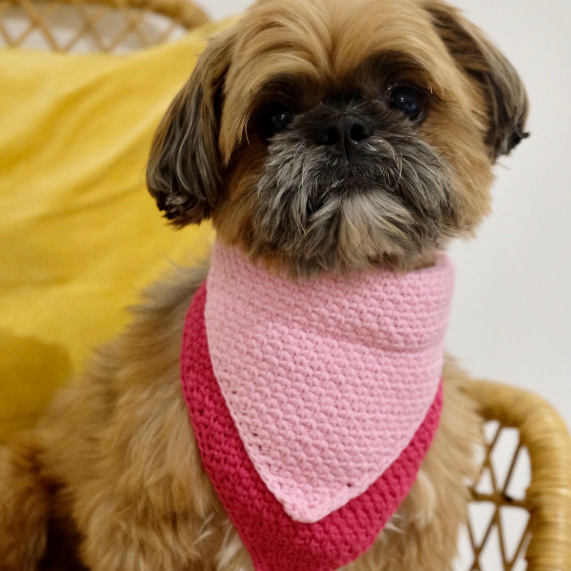 CROCHET DOGGIE BANDANA