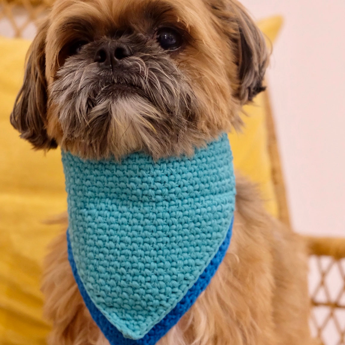 CROCHET DOGGIE BANDANA