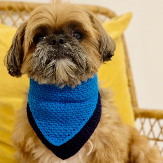CROCHET DOGGIE BANDANA