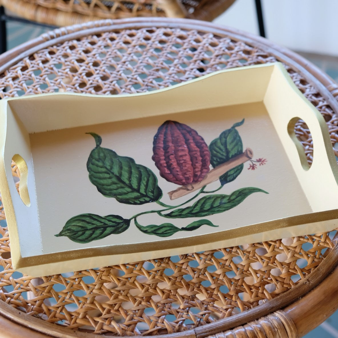 CACAO BEAN CATCH-ALL TRAY