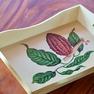 CACAO BEAN CATCH-ALL TRAY